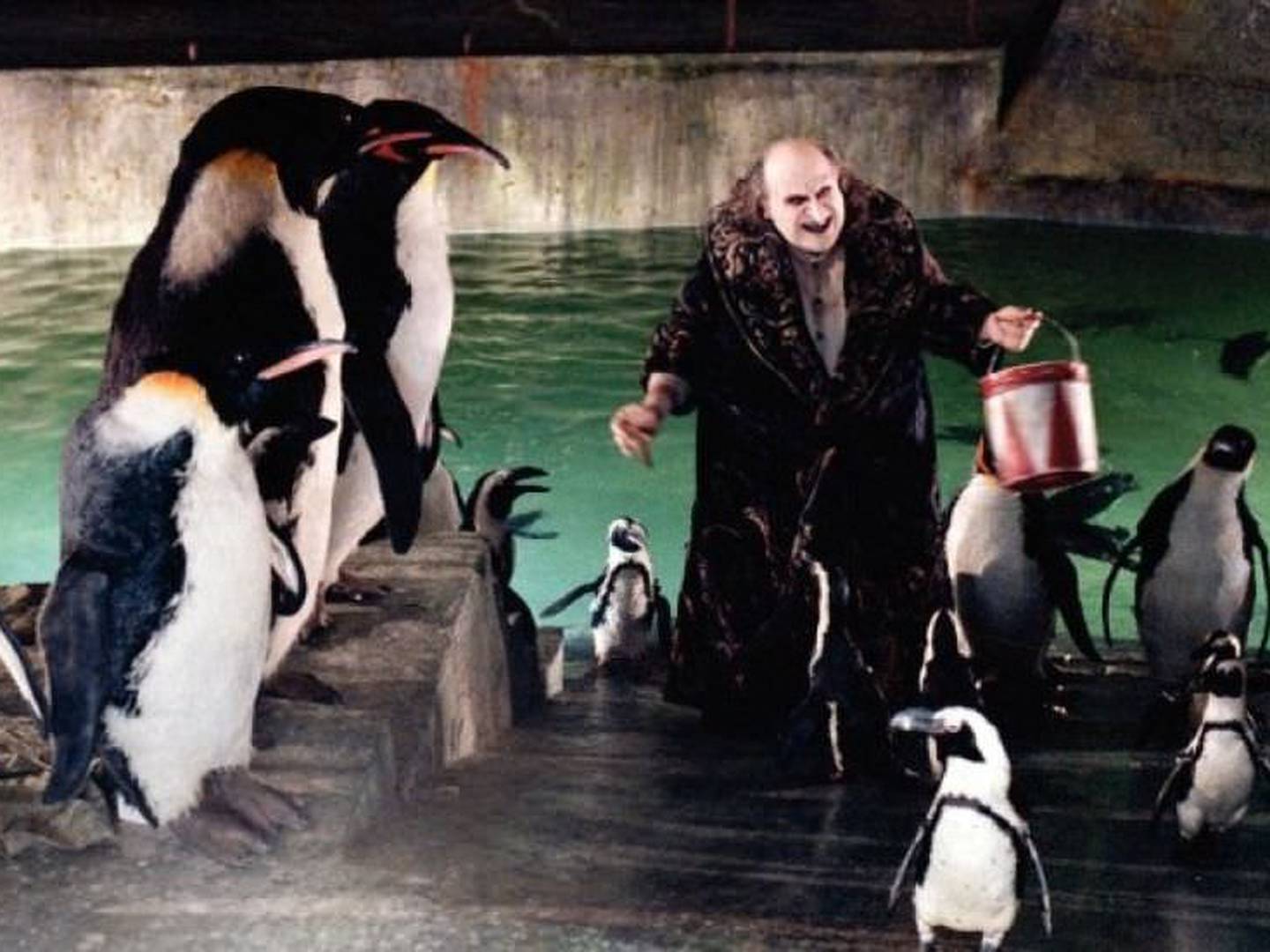 Danny DeVito dice que su Pingüino era mejor que el de Colin Farrell – Metro  World News