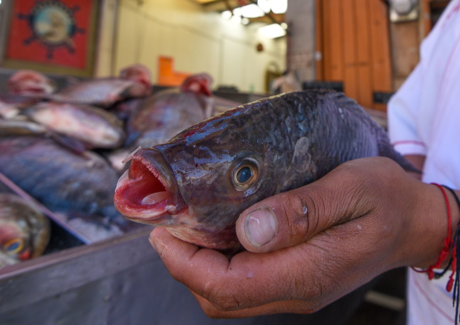 Hispana pierde sus brazos y piernas tras comer pescado