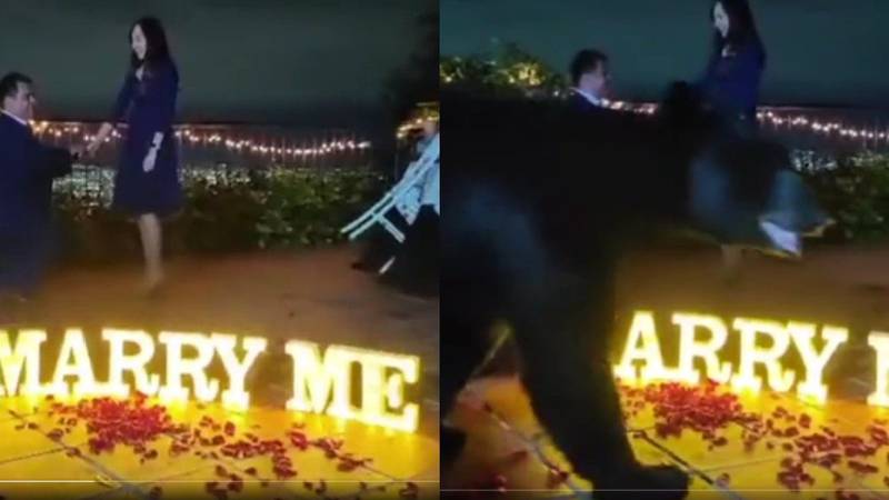 Oso se hace viral al irrumpir en una propuesta de boda – Metro World News