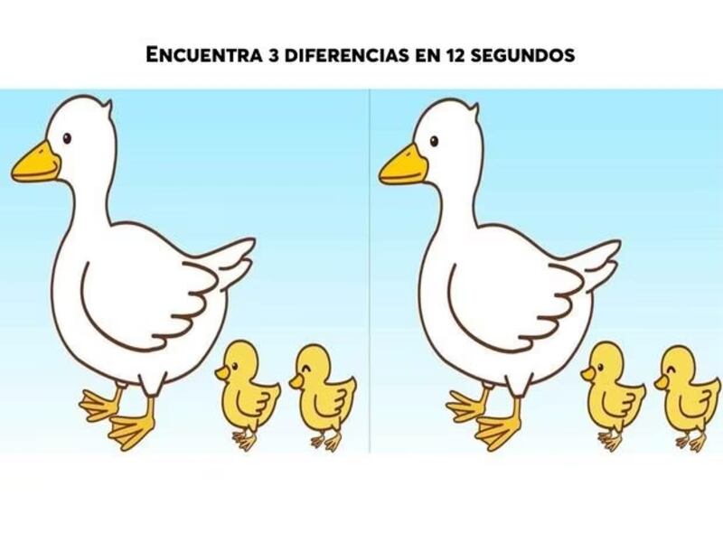 Encuentra las tres diferencias.