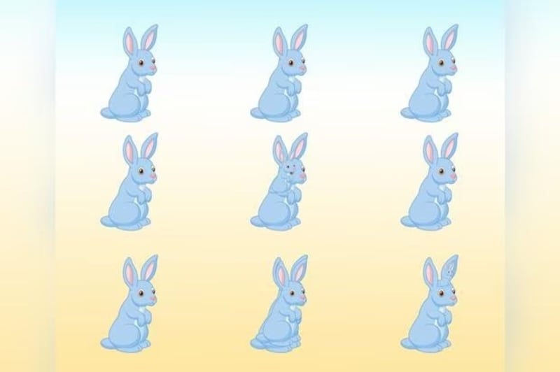 Descubre cuántos conejos hay en la imagen.