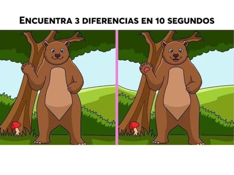 Encuentra las tres diferencias de la imagen.