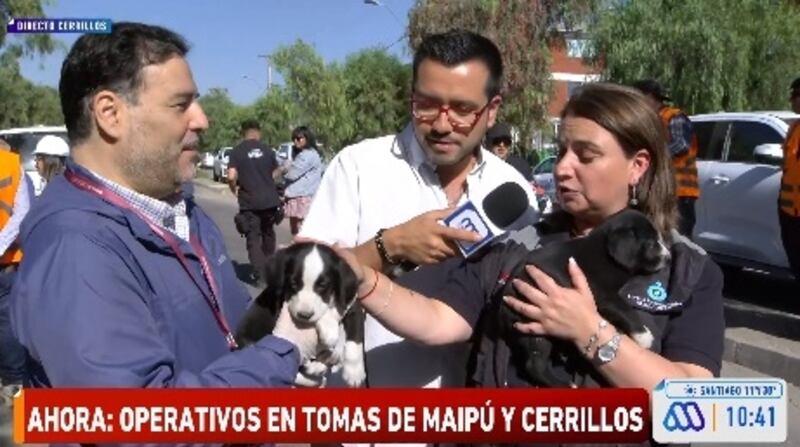 La edil de Cerrillos pidió esta mañana a Karen Doggenweiler adoptar uno de los cachorros abandonados en el desalojo de una toma en la comuna.