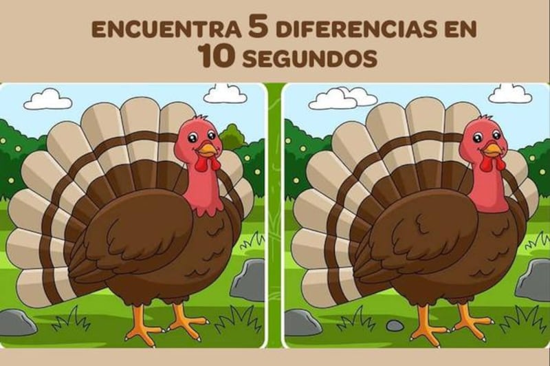 Encuentra las diferencias de la imagen.