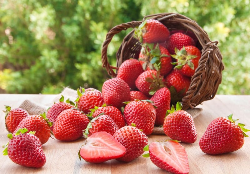 Las fresas cuentan con insectos polizones antes de ser limpiada | Fuente: Referencial