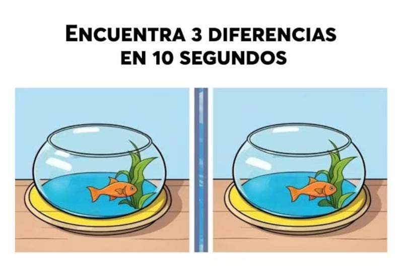 Encuentra las tres diferencias.