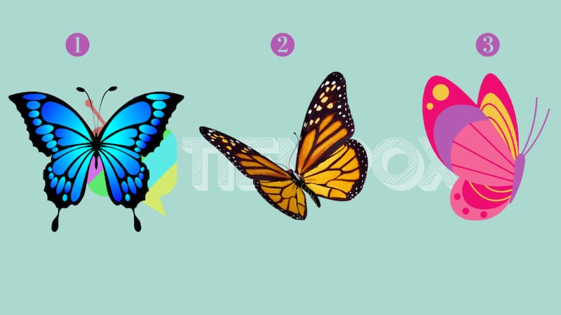 Elige una de las mariposas y descubre parte de tu personalidad.