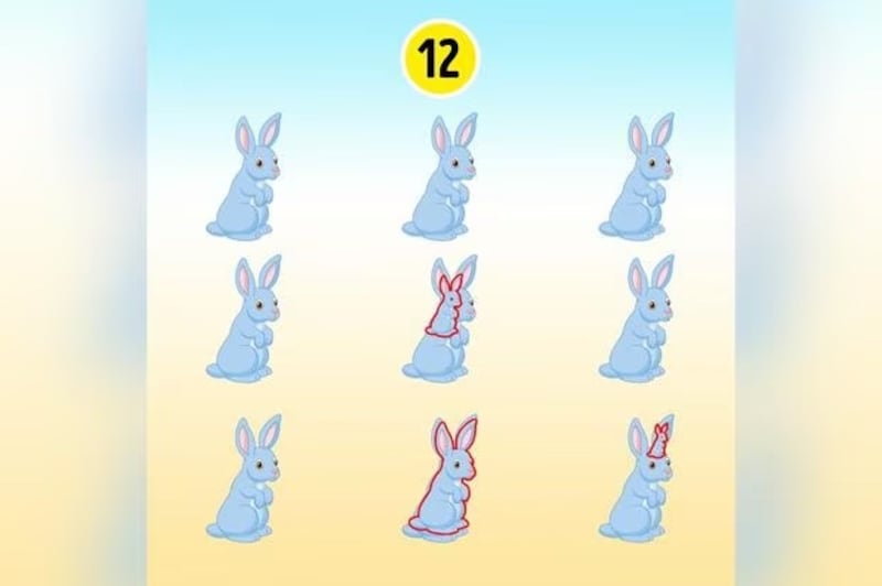 Son 12 conejos.