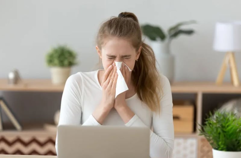 El aire acondicionado y los purificadores de aire son las mejores herramientas para protegerse del polen que podría agravar los síntomas de la alergia. | Foto: Imágenes Falsas.