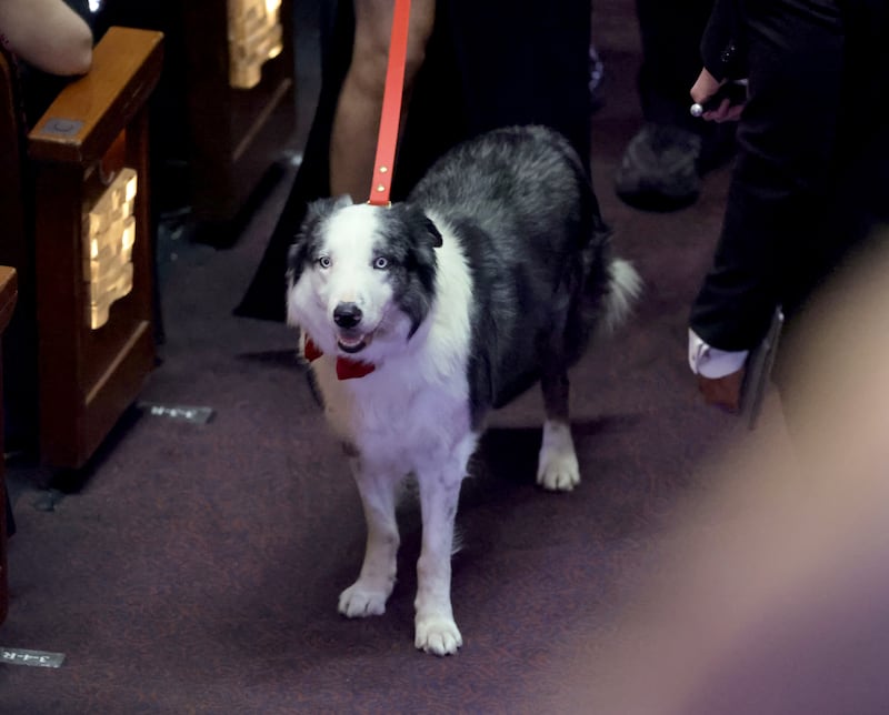 Messi, el perro de Anatomía de una caída, merecía su Óscar.